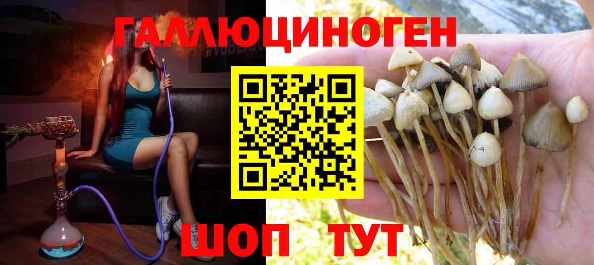 магазин    Галлюциногенные грибы мицелий  Вход с VPN  Симферополь 